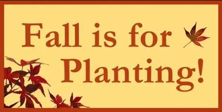 Fall Planting